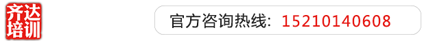 jj插入日本网站齐达艺考文化课-艺术生文化课,艺术类文化课,艺考生文化课logo